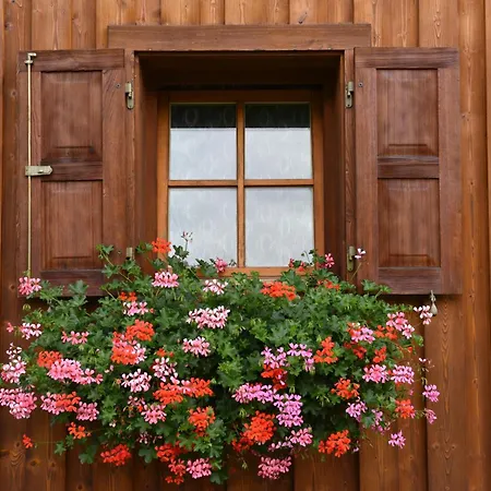 Haus Ida-forna